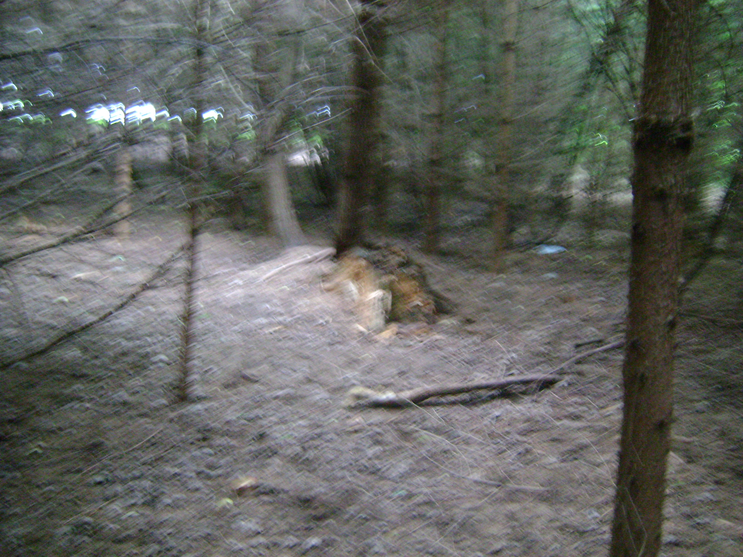dsc00608