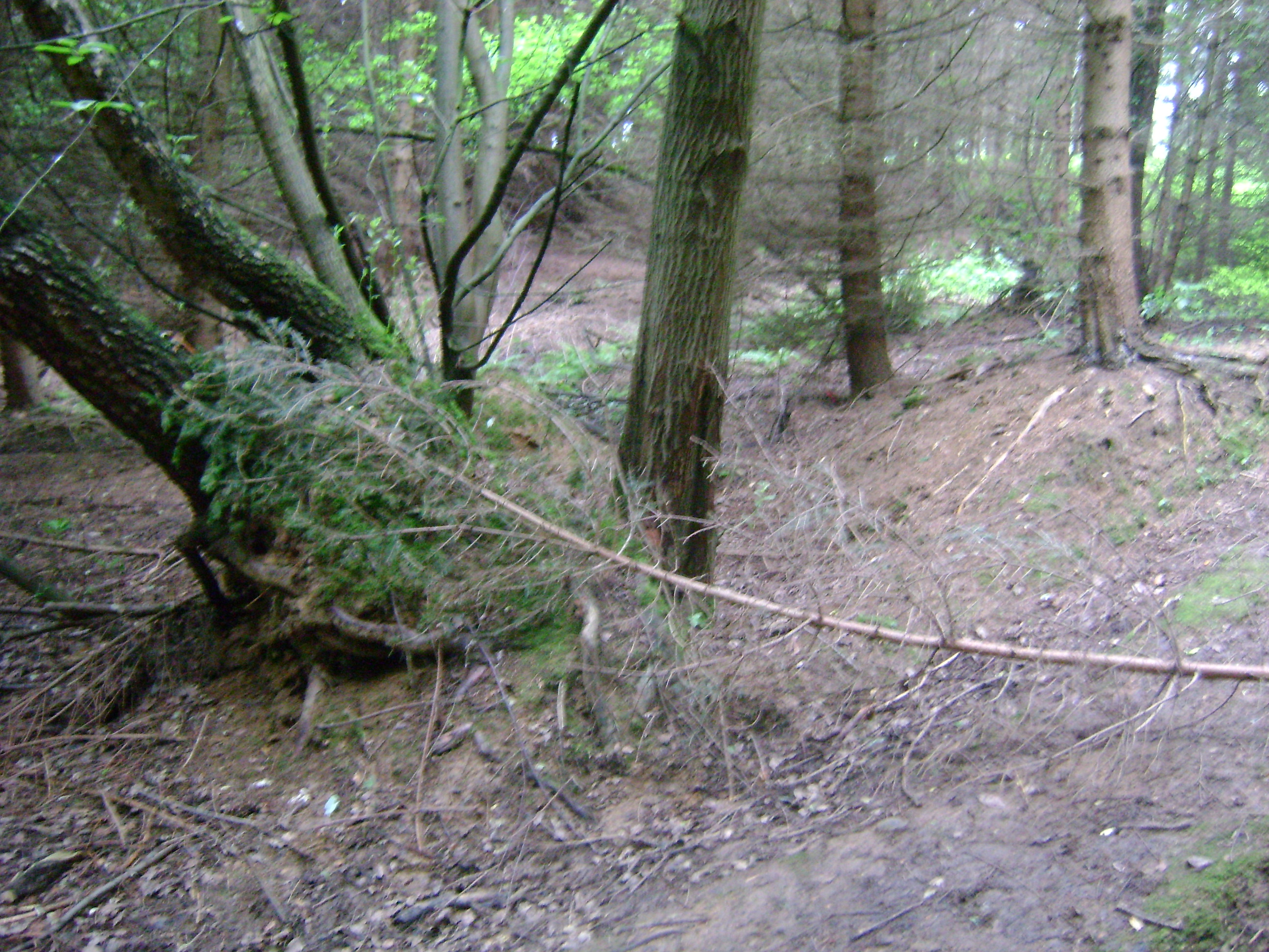 dsc00616