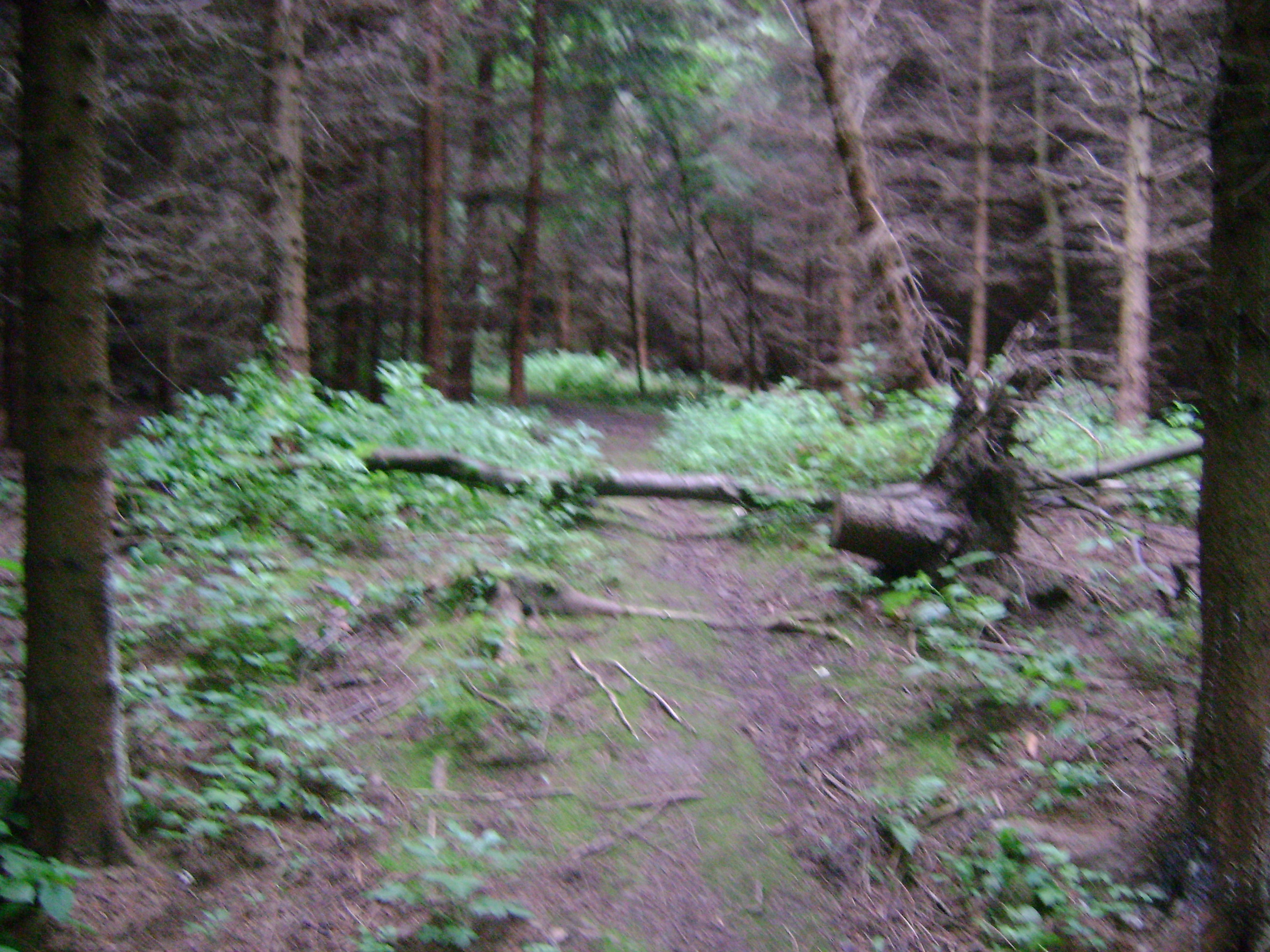 dsc00626