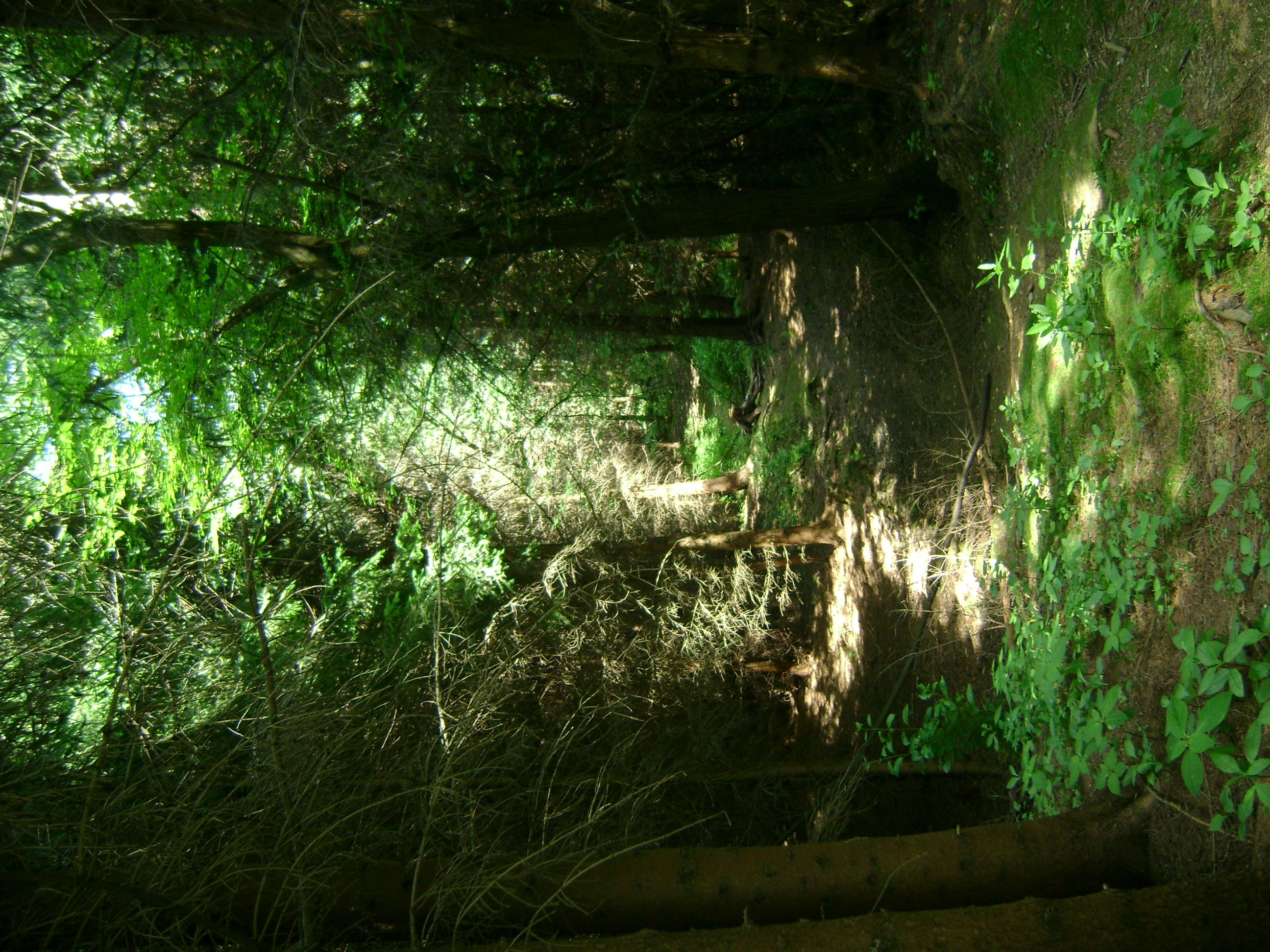 dsc00679