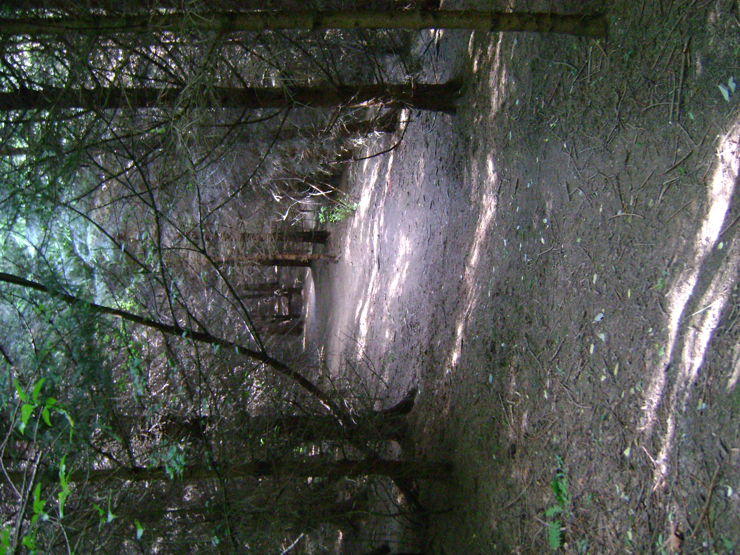 dsc00682